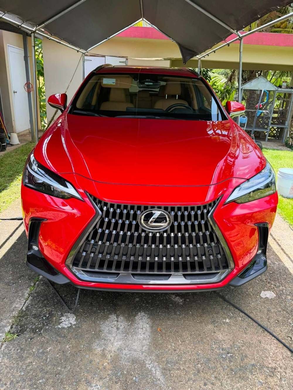 Lexus NX rojo, frente con parrilla brillante